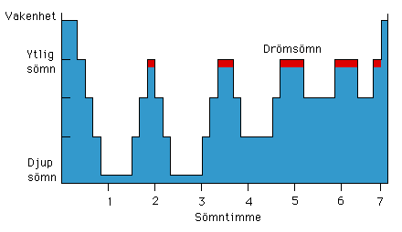 sömn