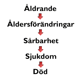 ldrande -> ldersfrndringar -> Srbarhet - > Sjukdom -> Dd