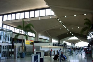 airportpalm.jpg