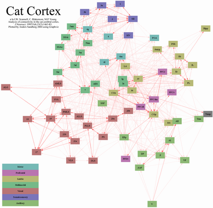 Cat cortex: Click for larger version